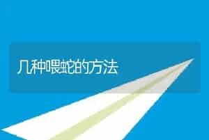 几种喂蛇的方法