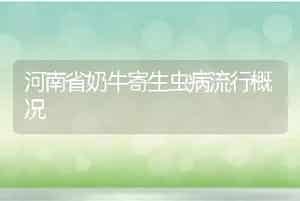 河南省奶牛寄生虫病流行概况