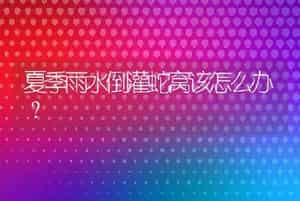 夏季雨水倒灌蛇窝该怎么办？