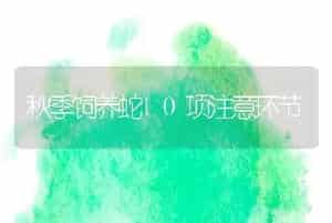 秋季饲养蛇10项注意环节