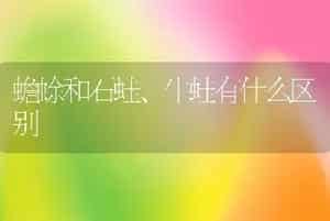 蟾蜍和石蛙、牛蛙有什么区别
