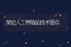 菜蛇人工养殖的技术要点