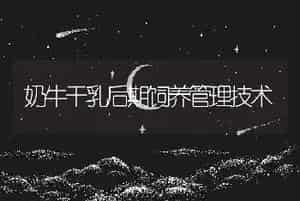 奶牛干乳后期饲养管理技术