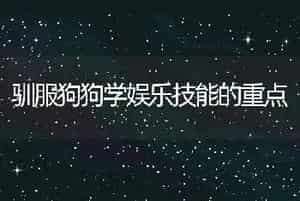 驯服狗狗学娱乐技能的重点