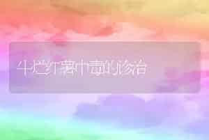 牛烂红薯中毒的诊治