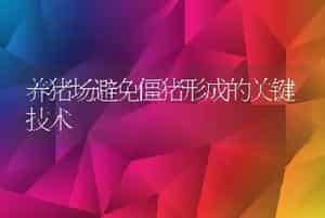 稻草喂牛需加工