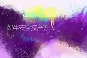 奶牛安全接产方法