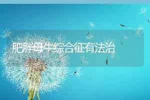 肥胖母牛综合征有法治