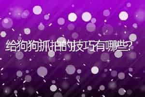 给狗狗抓拍的技巧有哪些?