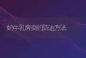 奶牛乳房炎的防治方法