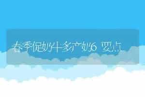 春季促奶牛多产奶6要点