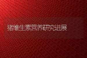浅谈如何建设好奶牛养殖小区