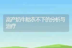 高产奶牛胎衣不下的分析与治疗