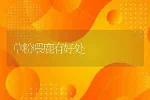 草粉喂鹿有好处
