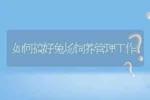 高温季节鱼塘施药注意