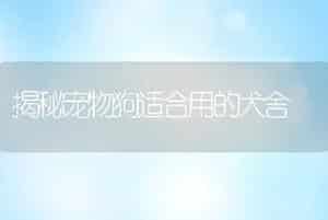 揭秘宠物狗适合用的犬舍
