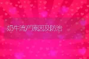 奶牛流产原因及防治