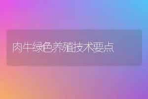 肉牛绿色养殖技术要点