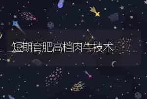 短期育肥高档肉牛技术