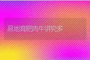 易地育肥肉牛讲究多