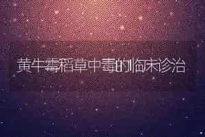 黄牛霉稻草中毒的临床诊治