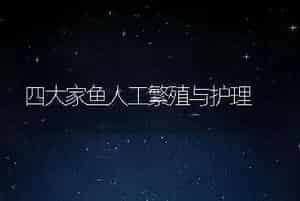 四大家鱼人工繁殖与护理