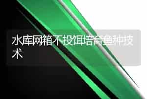 水库网箱不投饵培育鱼种技术
