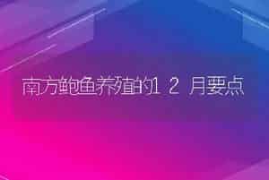 南方鲍鱼养殖的12月要点