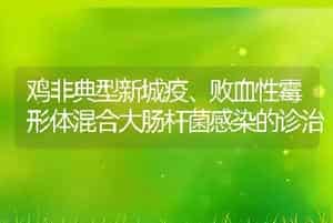肉牛的饲养管理技术