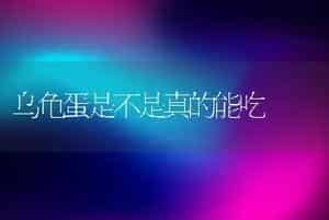 乌龟蛋是不是真的能吃