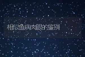 相似鱼病肉眼的鉴别