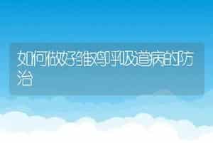 讲解罗汉鱼的繁殖过程