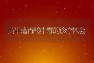 黄牛瘤胃酸中毒的诊疗体会