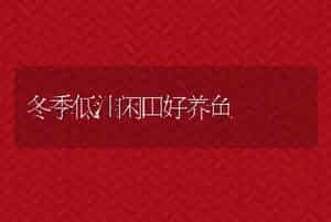冬季低洼闲田好养鱼