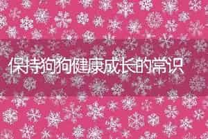 保持狗狗健康成长的常识