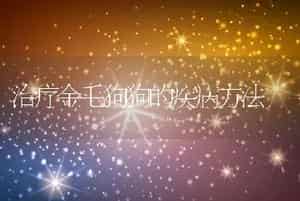 治疗金毛狗狗的疾病方法