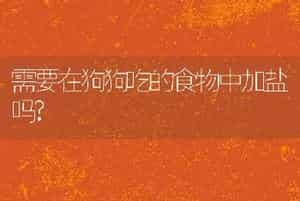 需要在狗狗吃的食物中加盐吗?