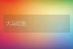 大马哈鱼