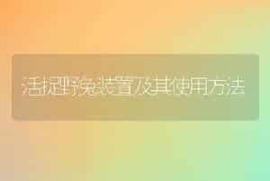 耕牛瓣胃阻塞的原因及防治