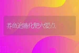 养鱼追施化肥六要点