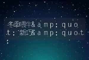 冬季喂牛"新巧"
