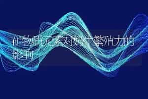 矿物质元素对奶牛繁殖力的影响