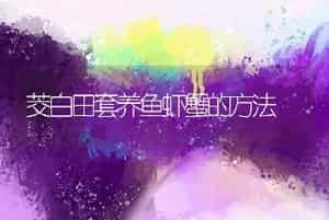 茭白田套养鱼虾蟹的方法