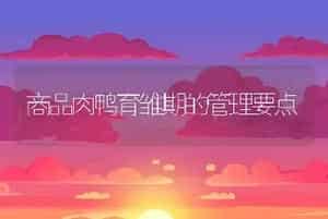 颗粒牛肉松的制作