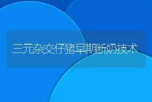 稻田养鱼为何喜欢鲤鱼呢