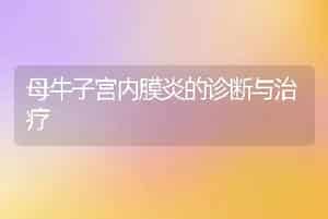 母牛子宫内膜炎的诊断与治疗