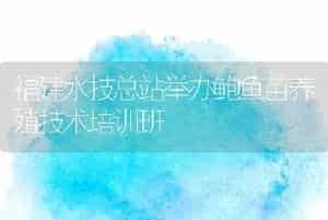 福建水技总站举办鲍鱼苗养殖技术培训班