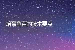 培育鱼苗的技术要点
