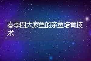 春季四大家鱼的亲鱼培育技术