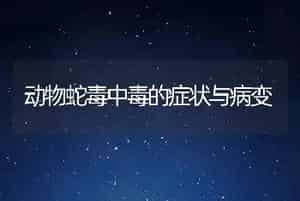 动物蛇毒中毒的症状与病变